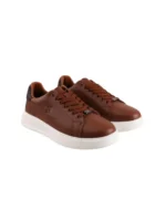 zak-sd04017 tampa img3