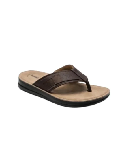 bewild-4865 kafe img1