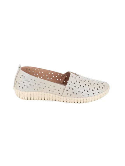 bsoft 2026-01 mpez img2