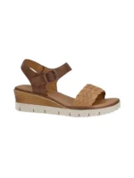 la-coquette-45308-f2 tampa img1