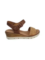 la-coquette-45308-f2 tampa img2