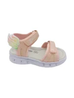 zak-sd29112 roz img2