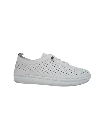 aerostep-202348-6 leuko img2