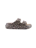 parex-11833078 leopar img3